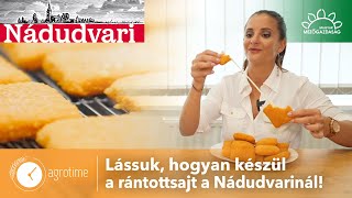 Te tudod hogy készül a Nádudvari rántott sajt  MMG AgroTime [upl. by Edveh]