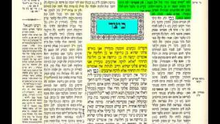 תלמוד בבלי  גמרא  בצורה שלא הכרתם שיעור 1 talmud learning tora4all [upl. by Ajaj]