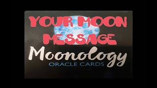 What do you need to release Waning Moon MOONOLOGY oracle card of the day 24 January 2024 [upl. by Yenetruoc]