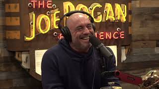 Joe Rogan Experience 1971  Howie Mandel [upl. by Jenica]