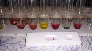 How to Test Hepatitis  B And C  HBS And HCV in Laboratory [upl. by Gamaliel]