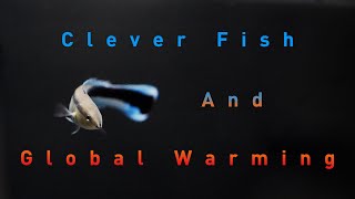 Clever fish and Global Warming [upl. by Daukas]