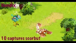 Dofus 129 10 Captures Drop Scorbute  10 [upl. by Anigroeg276]