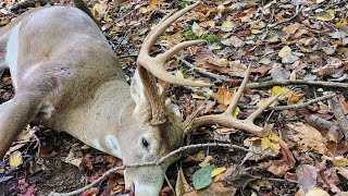 Ohio 2023 bow hunt Buck down [upl. by Lapides]