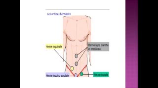 SEMIOLOGIE L’examen clinique de l’appareil digestive [upl. by Jenette]