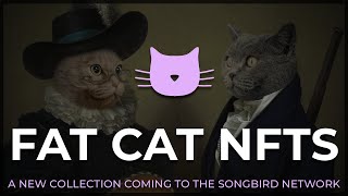 Fat Cat NFTs  New Collection coming to Songbird 4 NFTs in 1 [upl. by Jacobba]