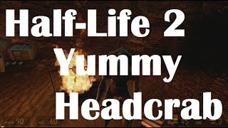 HalfLife 2 Vortigaunt Speech [upl. by Ormsby]