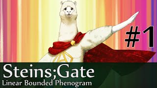 Alpacaman Appears  SteinsGate Linear Bounded Phenogram 1 EngSub [upl. by Gabriela]