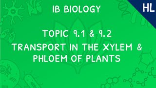 Types of Plant Tissues [upl. by Llertnek751]