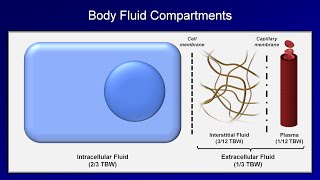 IV Fluids Lesson 1  Basic Principles [upl. by Erina]