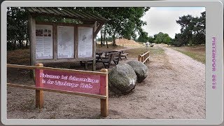 Pietzmoor  Schneverdingen  Trockener Sommer 2018  Photo Show [upl. by Doowyah]