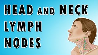 Lymph Nodes In The Neck  Occipital Auricular Cervical Submandibular and Submental nodes [upl. by Nnylaj]