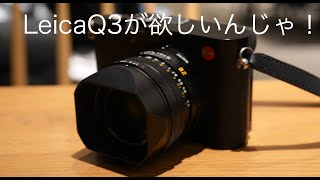 Leica Q3が欲しいんじゃ！ Leica Q2 vs Q3比較 [upl. by Bouchard]