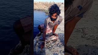 Young Man Using Big Fish to Catch Variety Fishes fishing fishingvideos thoondilulagam seafishing [upl. by Loralie]