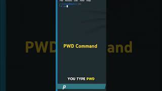 How to Use PWD Command  Linux Terminal Tutorial  Cybersecurity Essentials  Kali Linux [upl. by Schroer]