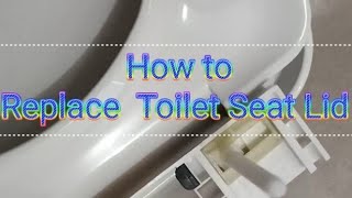 Easy Steps to Replace a Toilet Seat Lid A DIY Guide [upl. by Gareri]