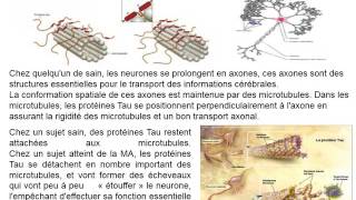 CYTOLOGIE Le Cytosquelette [upl. by Leelahk]