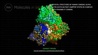 Molecules in silico ･ CRYSTAL STRUCTURE OF HUMAN CARDIAC ALPHA ACTIN Q137A MUTANT AMPPNP STATE I [upl. by Siegel]