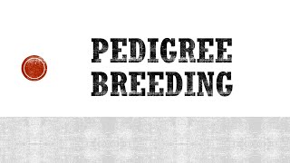 Pedigree breeding  Breeding Methods  Self Pollinated Crops [upl. by Hamimej]