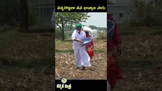 పచ్చిరొట్టగా నవధాన్యాలతో భూమికి బలం Navadhanyalu as Green Manure Crop  Karshaka Mitra Shorts [upl. by Airlie]