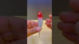 Best fishing lure fishing fishingmethods fishingtips fishingtricks review [upl. by Ruberta943]