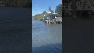 Sydney Ferry F3 Kurt Fearnley arriving at Parramatta Wharf [upl. by Asatan]