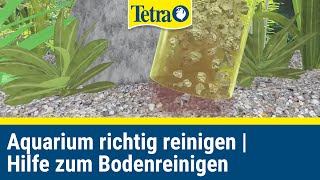 Aquarium richtig reinigen  Schnelle Hilfe zum bodenreinigen [upl. by Andriana679]