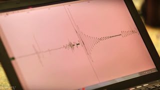 How Does a Seismometer Work [upl. by Canning]