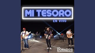 Mi Tesoro En Vivo [upl. by Eserrehs]