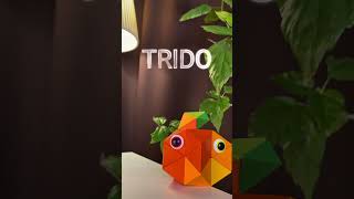 Trido magneticart origami paper [upl. by Atnwahs]