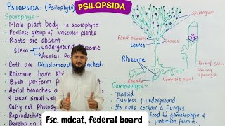 Psilopsida class 11  psilopsida characteristics class 11 [upl. by Buck]