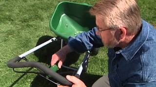 How to Control Weeds in Your Lawn [upl. by Liamsi]