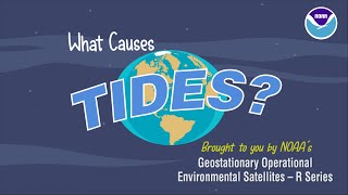 What Causes Tides [upl. by Clint]