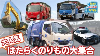 【のりもの図鑑】大人気はたらくのりもの大集合（清掃車ゴミ収集車、工事現場の車、ポンプ車、JAFの車、パトロールカー） [upl. by Danielle]