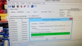 STLink ProgrammerDebugger Demo [upl. by Anaynek]
