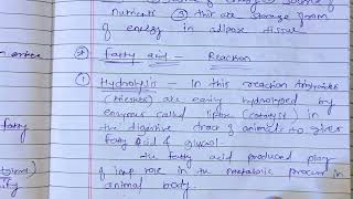 fats and oils fatty acid reactions b pharm msc chemistry hydrogenation reactions fatty acidhydrolys [upl. by Osicran]