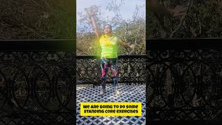 8 standing core exercisesDiastasis Recti exercise Arogya physiotips corerehab diastasisrecti [upl. by Harneen629]