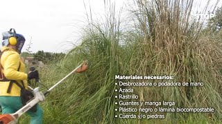 Tutorial Cómo eliminar Cortaderia mediante ocultación [upl. by Chiquita419]