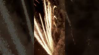 Diving fireworks at the North American Fireworks Association Tradeshowfireworks shorts fpv drone [upl. by Ayokal171]