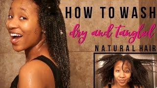 Wash Day Routine 4a 4b 4c Wash Dry and Tangled Natural Hair Without Matting  Tangling  AseaMae [upl. by Frederich]