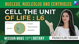 Nucleus Nucleolus amp Centrioles  Cell The Unit of Life Class 11 Biology Concepts L6  NEET 2024 [upl. by Allenotna659]