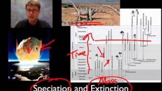 Unit 2 Review  Speciation [upl. by Atnovart]