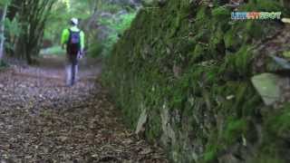 Wandern in RheinlandPfalz auf der Traumschleife Rheingold Romantischer Rhein [upl. by Ailito179]