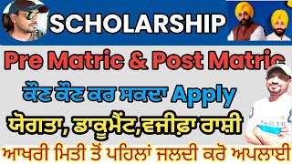 Punjab Scholarship 2024  Pseb News Today  Punjab Scholarship Apply kaise kare  Scholarship Update [upl. by Nnylsia729]