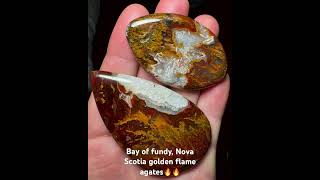 Bay of fundy  Nova Scotia golden flame plume agates bayoffundy novascotia rockhounding agates [upl. by Sauls]