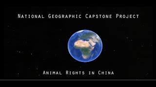 National Geographic Capstone Project  Animal Rights in China [upl. by Camellia591]