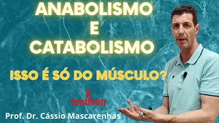 Anabolismo e catabolismo AGORA FICOU FÁCIL [upl. by Lore735]