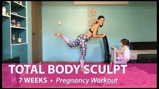 15Minute Pregnancy Workout 7 WEEKS  Safe First Trimester  Total Body Sculpt BARRE inspired [upl. by Janessa443]