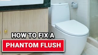 How To Fix A Phantom Flush  Ace Hardware [upl. by Caresse244]