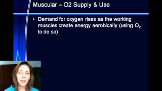 Yr 12 Acute Responses  Muscular [upl. by Matuag635]